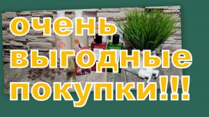 ОЧЕНЬ ВЫГОДНЫЕ  ПОКУПКИ  С  ВАЙЛДБЕРРИЗ!!!