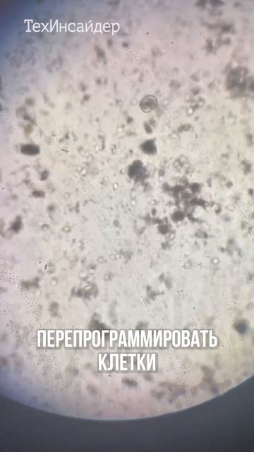 Как отменить старость? Заглядываем в будущее