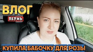 ВЛОГ«Купила бабочку🦋 для розы🌹,Лемана про» 🏠