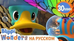 Утки _ 30 минут _ Обучающие мультики для детей Blippi Russian