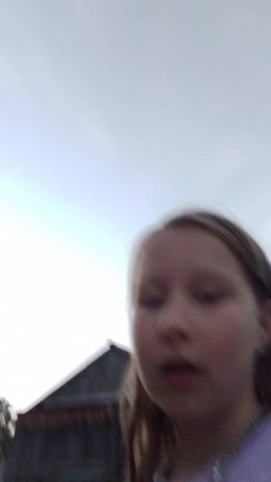 гулянка