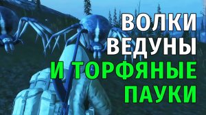 Stay Out | 183. Волки, Ведуны и Торфяные Пауки