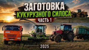 Заготовка кукурузного силоса. Часть 1.