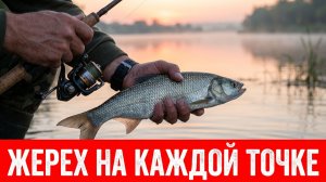 Жерех и окунь на каждой точке! Утренняя вылазка на Дон.