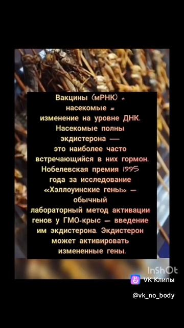 Всякая плоть извратила путь свой