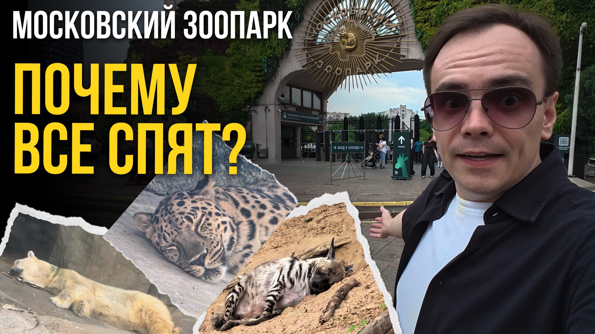 Почему они все СПЯТ? 🦁 Вся правда про МОСКОВСКИЙ ЗООПАРК и медведя Грома смотреть онлайн