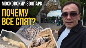 Почему они все СПЯТ? 🦁 Вся правда про МОСКОВСКИЙ ЗООПАРК и медведя Грома