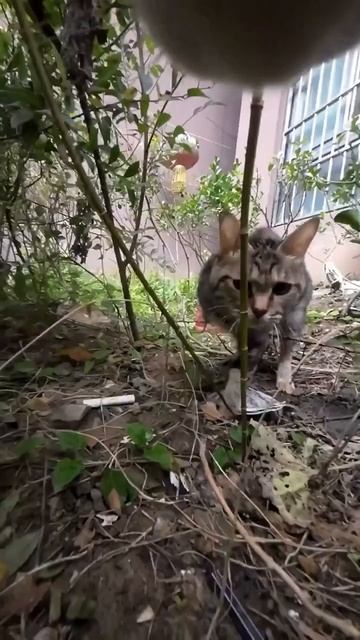 Весь день в поцелуях