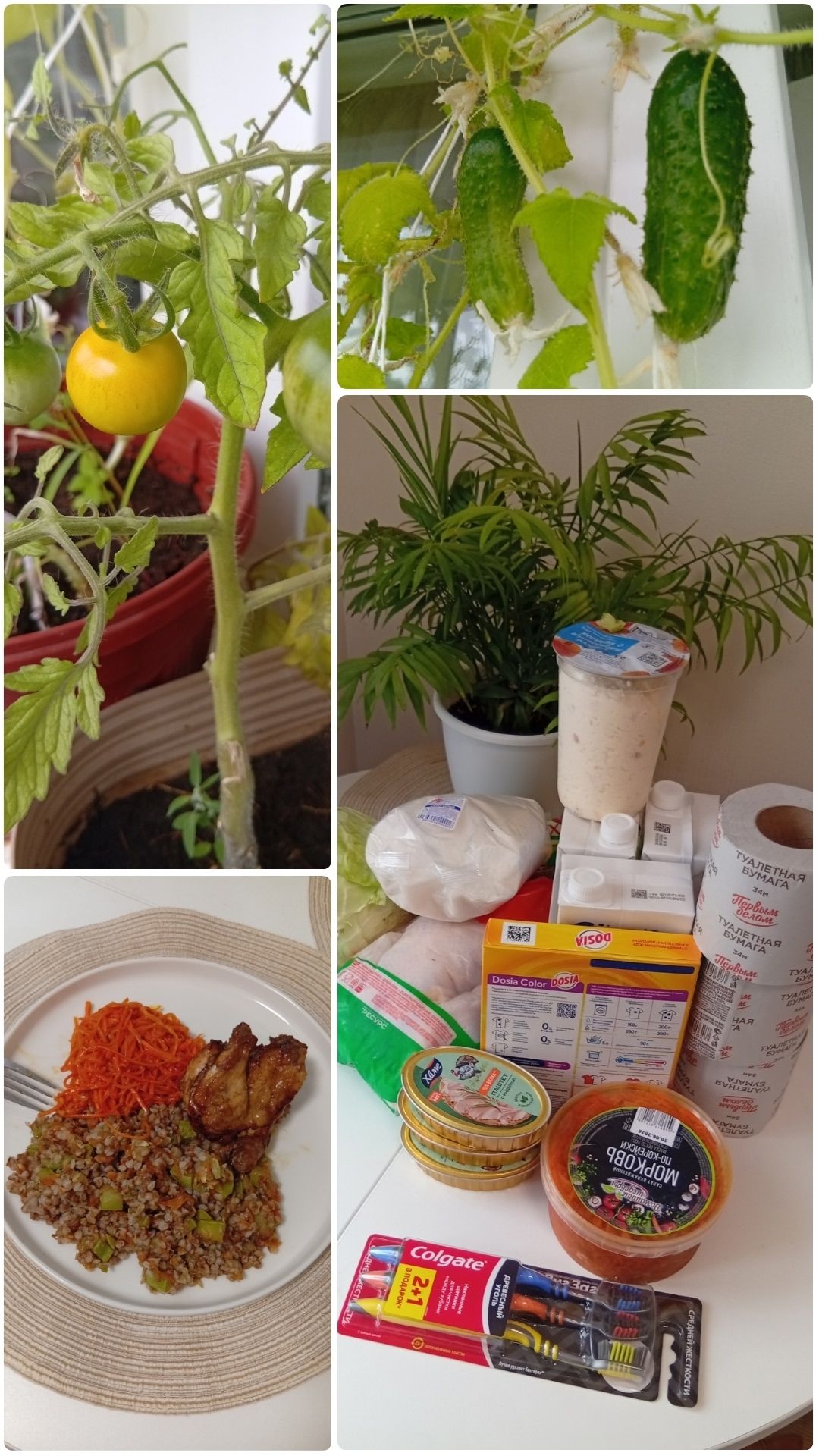 ОГОРОД НА БАЛКОНЕ🌵ЗАКУПКА ПРОДУКТОВ НА НЕДЕЛЮ📊ВКУСНЫЙ УЖИН В АЭРОГРИЛЕ #shorts #закупки #ужин