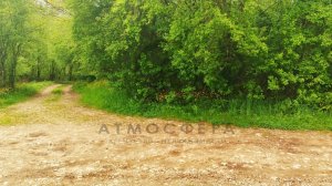 АН «Атмосфера» ꓲ Земельный участок 14,43 сот в ст-ца Нижегородская, Апшеронский район