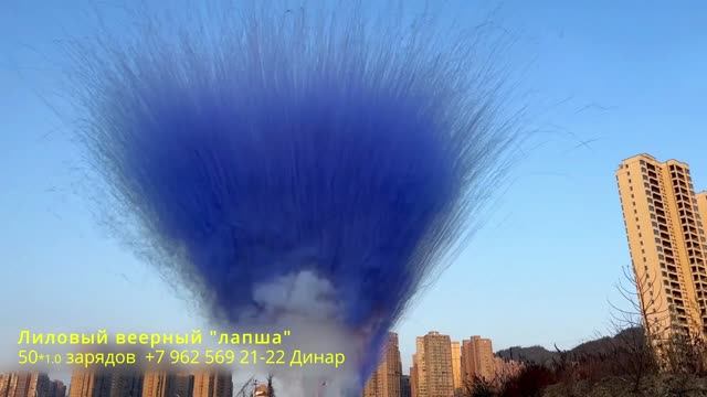 Лиловый веерный лапша 50 зарядов 1.0