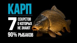 КАРП - 7 СЕКРЕТОВ о которых не знают