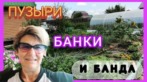 Этот ПУЗЫРЬ меня достал!😡 И о заготовках на зиму😁