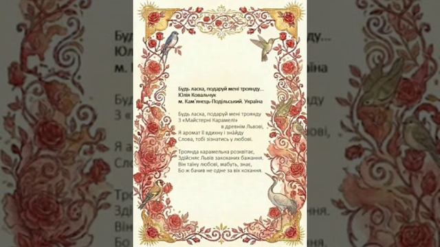 Наши книги