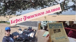 Берег Финского залива.