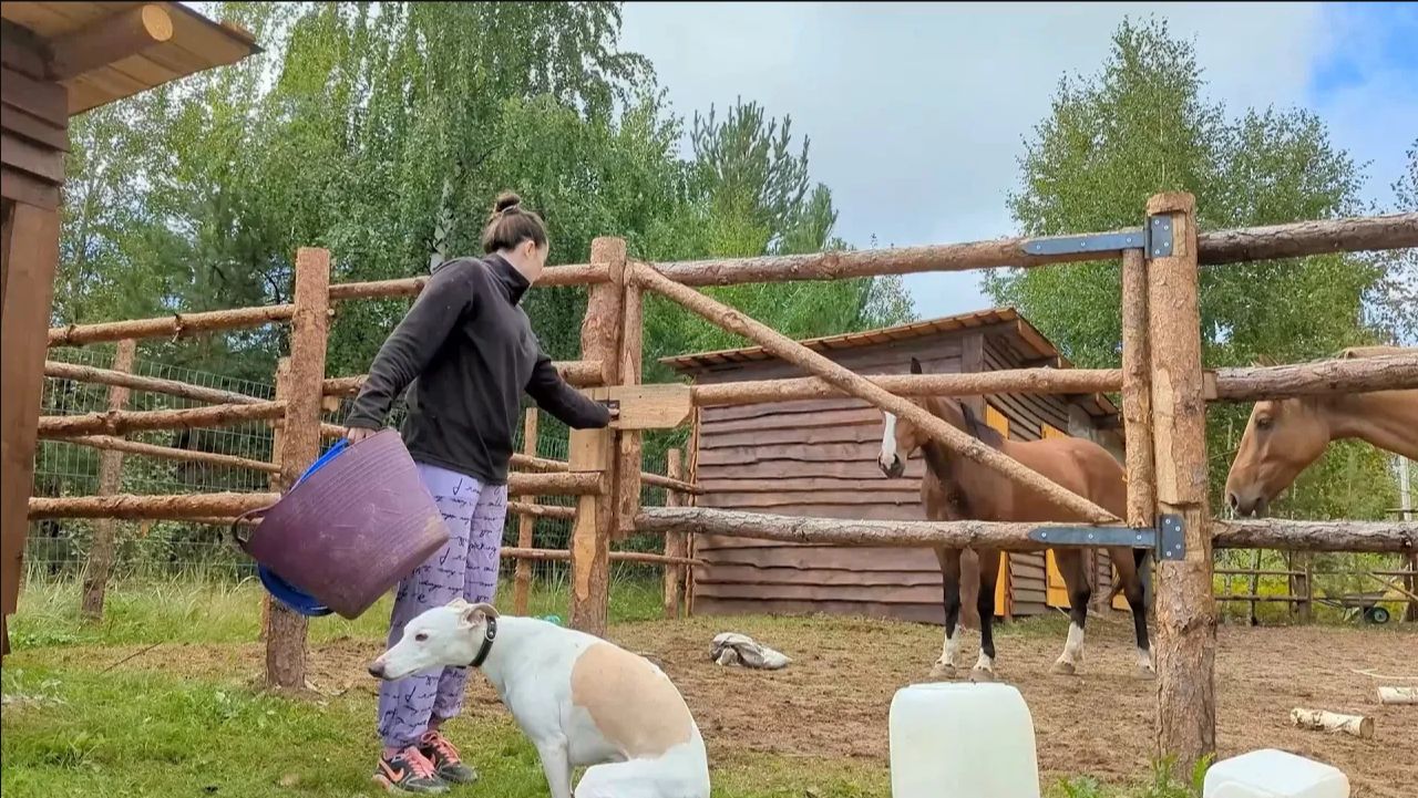 КАК МЫ СТРОИМ НАШ БУДУЩИЙ ДОМ. Поставили лаги и стены 1 этажа. Жизнь в деревне смотреть онлайн
