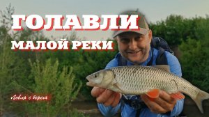 Голавли малой реки. Ловля спиннингом с берега. ПУХова рыбалка 10