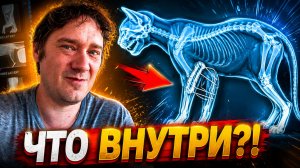 Что внутри моего кота? (Влог 12.07.26)
