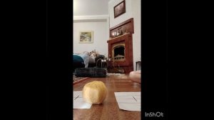 обмениваемся вещями