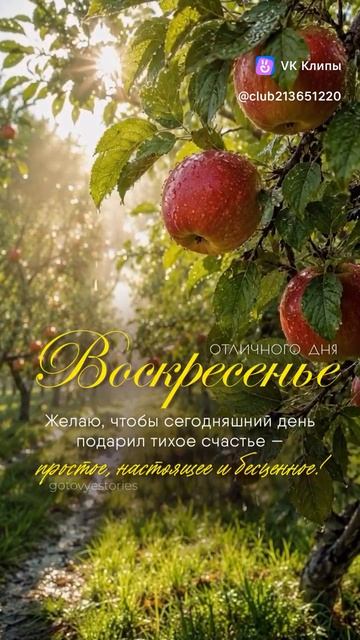 Хорошего дня!