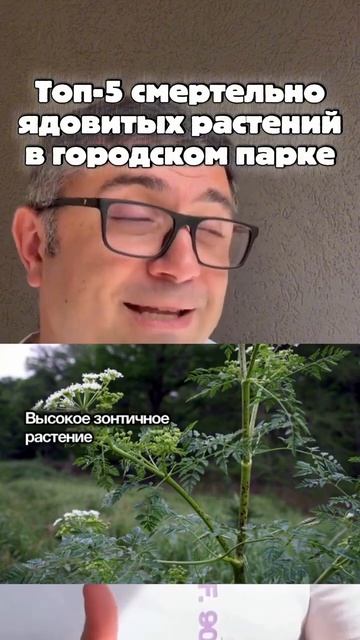 @Detlektor-live⁩  дарю доступ навсегда в честь каникул! Ссылка в описании → 👤 Александр Толмачёв