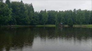 Утренний обзор с нижнего водоёма. Клёвое место, Лосиный остров.