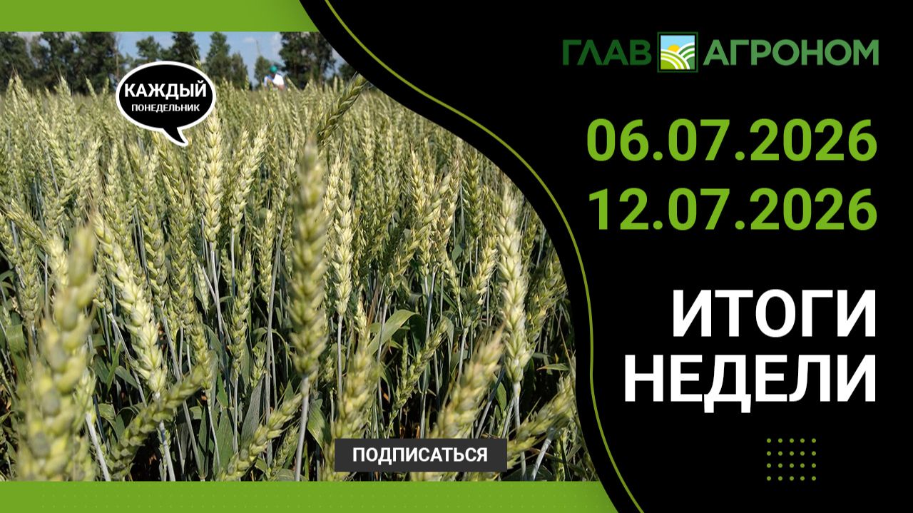 Итоги недели с ГлавАгроном 06.07.2026 – 12.07.2026 смотреть онлайн