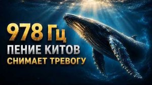 Исцеляющее Пение Китов для Снятия Тревоги, Перезагрузки Нервной Системы и Глубокой Релаксации