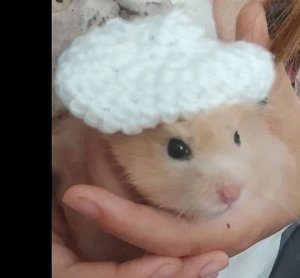 не знаю