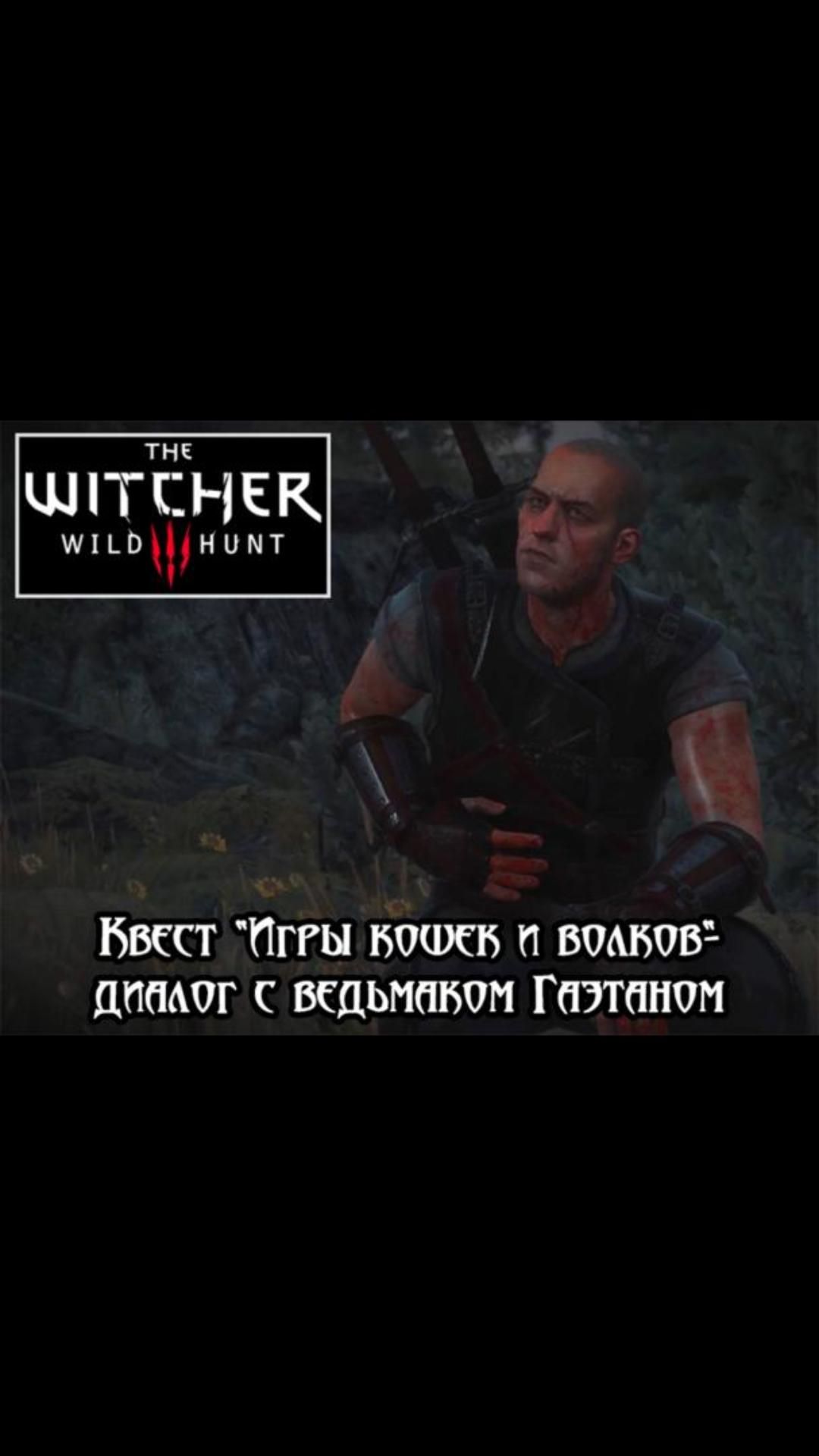 Диалог с Гаэтаном- квест "Игры кошек и волков" | #witcher3 #games #rpg