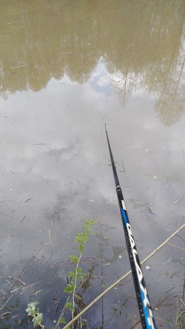 ✔🎣Не успел🐟✔