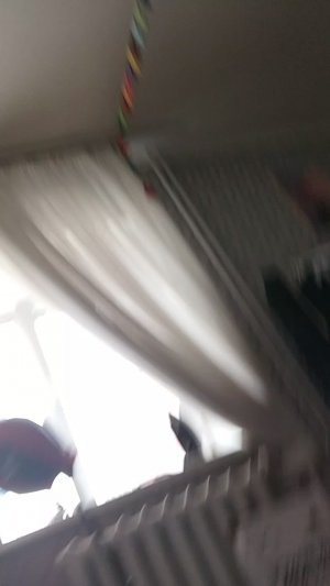 жизнь