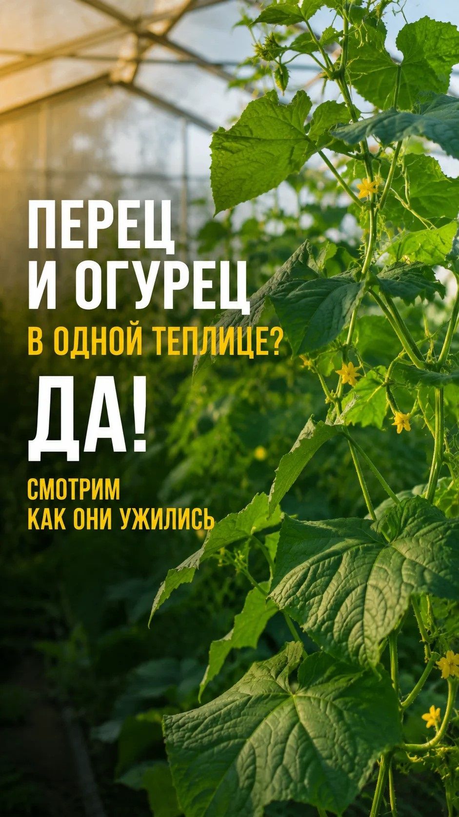 Сад и огород. Дачникам