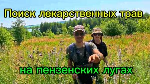 По пензенским лугам за травами #путешествие #путешествия #природа #пенза #лето