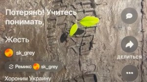 «Жесть» хороним Украину братья