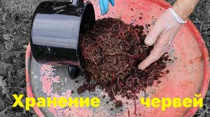 Хранение насадочных червей