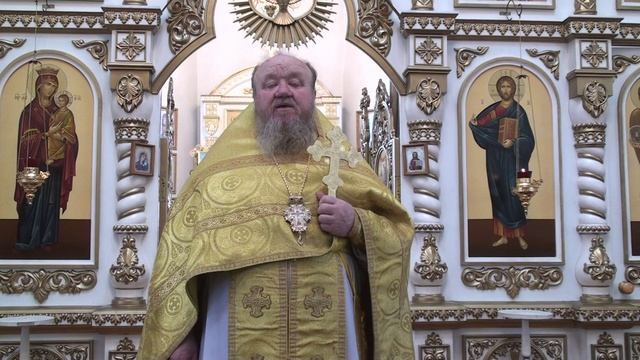 12 июля 2026 г.  Проповедь протоиерея Сергия Чибисова  Свято-Митрофановский храм село Верхний Мамон.