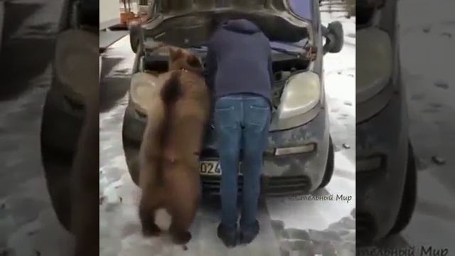 БЫВАЕТ смотреть онлайн