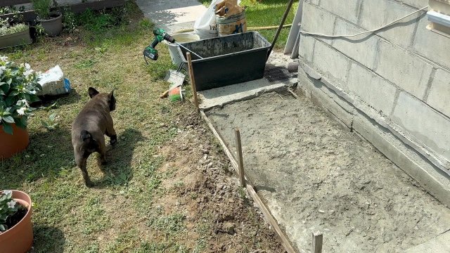 Жизнь вне орхидей. отреставрировали с МАСЕЙ кусок отмостки и будет ли это НАДЁЖНО Жизнь вне орхидей. отреставрировали с МАСЕЙ кусок отмостки и будет ли это НАДЁЖНО