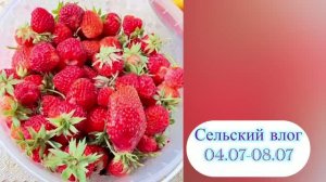 Не вязальный влог, увы...