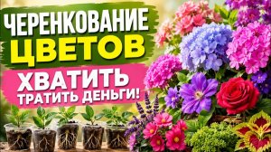15 Многолетников, Которые Нужно Черенковать в Июле. Хватит Переплачивать Питомникам! 1