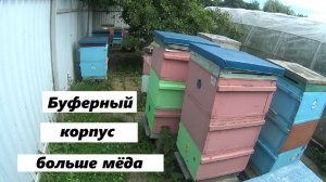 Буферный корпус для увеличения медосбора на пасеке