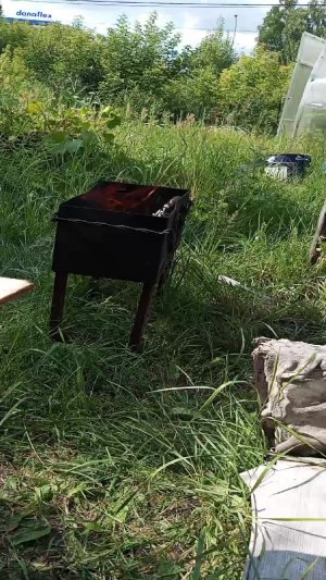 шашлыки