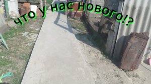 Деревенские будни :)