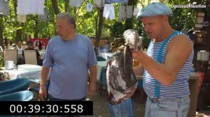 Наташа - Шэрон Стоун в Одессе! Голливудские звёзды в Архимусе Эксклюзив / 1 серия