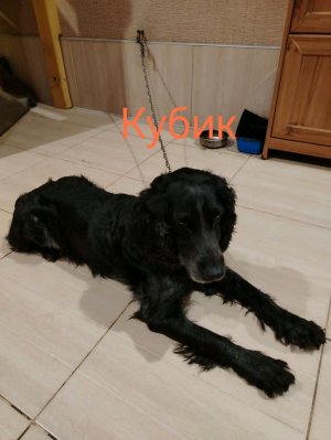 Стрим 🏳