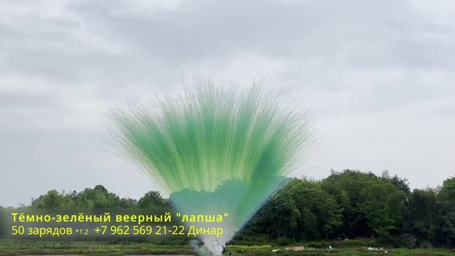 Тёмно-зелёный веерный лапша 50 зарядов 1.2