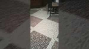 четвёртая часть сиренаголовый