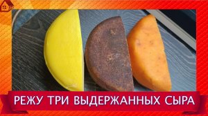 Дегустация Режу 3 выдержанных сыра * июль 26 * Монтеррей, Голландский, Костромской
