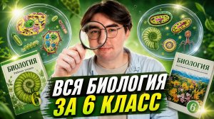 ВСЯ БИОЛОГИЯ за 6 класс I Онлайн-школа «Умскул»